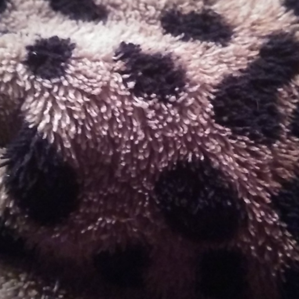 Meet your Posher, Shortcake